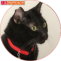 イレーネ、それでも、生きている_a0389088_18192050.jpg