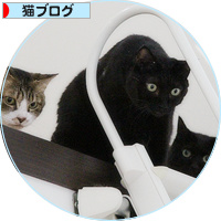 イレーネが、キター!_a0389088_18192087.jpg