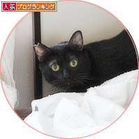 イレーネが、キター!_a0389088_18192095.jpg