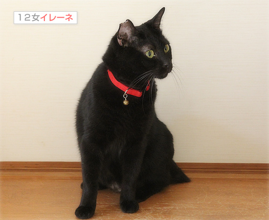 イレーネ、それでも、生きている_a0389088_18192099.jpg
