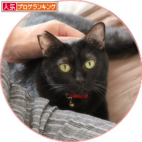 すっかり家族入り_a0389088_18192225.jpg