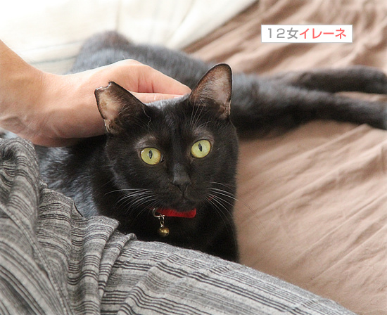 すっかり家族入り_a0389088_18192293.jpg