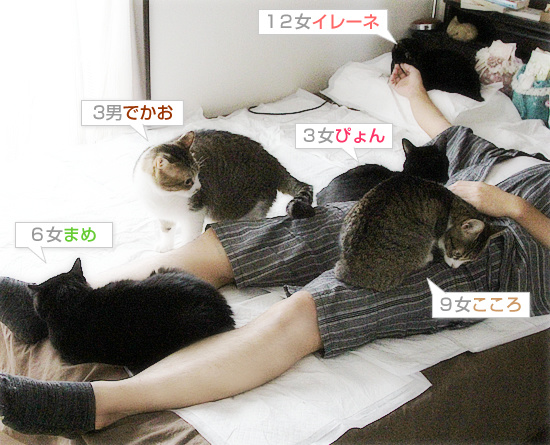 しあわせな拷問_a0389088_18192654.jpg