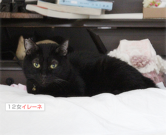 しあわせな拷問_a0389088_18192679.jpg