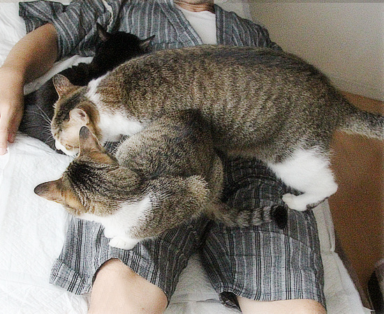 しあわせな拷問_a0389088_18192694.jpg