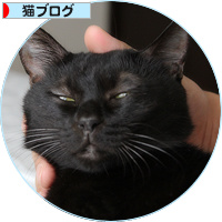 台風だって、こわくないよ_a0389088_18192988.jpg
