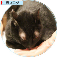 イレーネの手術決定!_a0389088_18193056.jpg