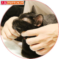 イレーネの手術決定!_a0389088_18193066.jpg