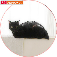 平和という名の猫_a0389088_18193312.jpg
