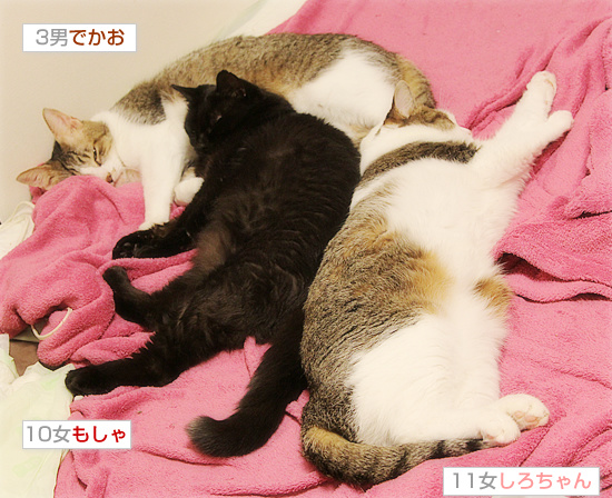 2016年組の結束力_a0389088_18195456.jpg