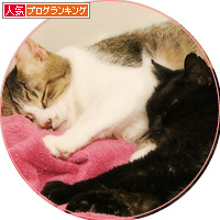 2016年組の結束力_a0389088_18195482.jpg