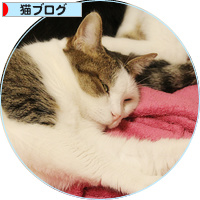 2016年組の結束力_a0389088_18195543.jpg