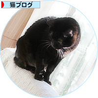 ついに見つけた?前から知ってた?_a0389088_18195620.jpg