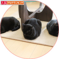 世界一居心地のいいトイレ_a0389088_18195656.jpg