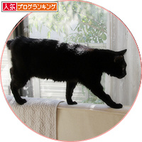 ついに見つけた?前から知ってた?_a0389088_18195657.jpg