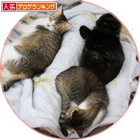 満員ベッド_a0389088_18195783.jpg
