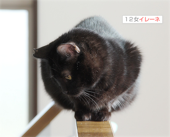 ヤツが来た!_a0389088_18195814.jpg