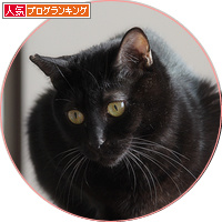 ヤツが来た!_a0389088_18195836.jpg