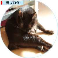 ヤツが来た!_a0389088_18195875.jpg