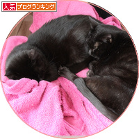 至福の上布団_a0389088_18195916.jpg