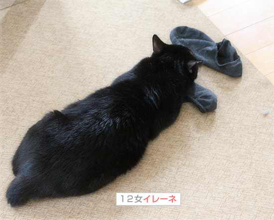 イレーネの病院_a0389088_18195973.jpg
