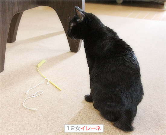 1か月でようやく・・・_a0389088_18200025.jpg