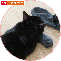 イレーネの病院_a0389088_18200031.jpg