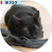 イレーネの病院_a0389088_18200073.jpg