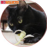 1か月でようやく・・・_a0389088_18200147.jpg