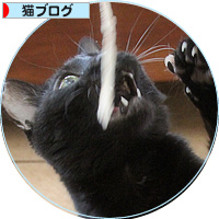 1か月でようやく・・・_a0389088_18200187.jpg
