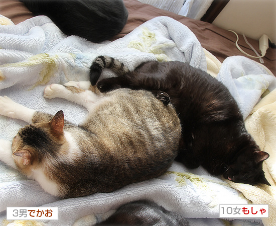 妻と夫_a0389088_18200289.jpg