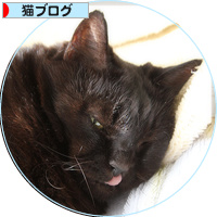 妻と夫_a0389088_18200293.jpg
