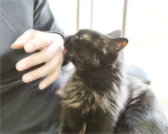 うれしいけど、うれしいけどね・・・_a0389088_18200317.jpg