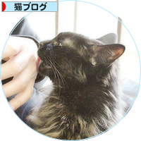 うれしいけど、うれしいけどね・・・_a0389088_18200346.jpg