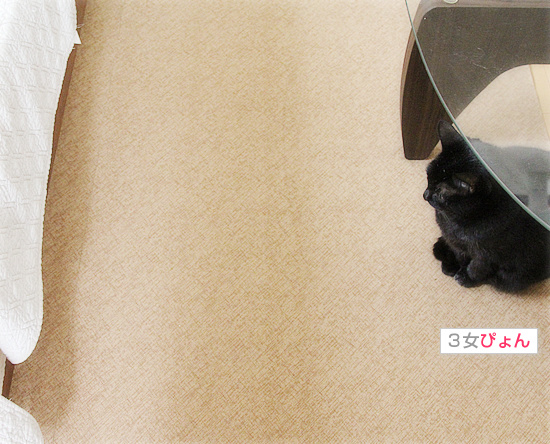 ハンターも眠くなる_a0389088_18200743.jpg