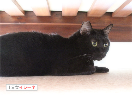 ハンターも眠くなる_a0389088_18200765.jpg