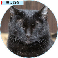 ハンターも眠くなる_a0389088_18200849.jpg