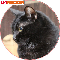 ハンターも眠くなる_a0389088_18200872.jpg