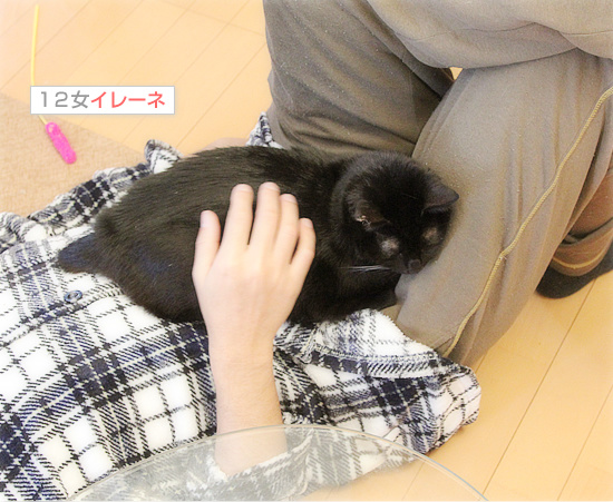 魔法の手_a0389088_18201386.jpg
