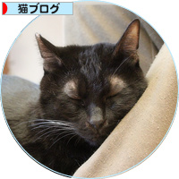 魔法の手_a0389088_18201407.jpg