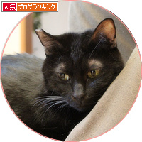 魔法の手_a0389088_18201412.jpg