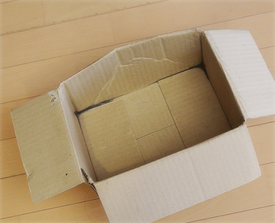 子猫は、箱に入るもの!_a0389088_18201591.jpg