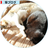 猫の楽園_a0389088_18201773.jpg