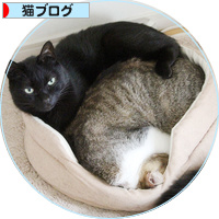 不本意な猫だんご_a0389088_18202329.jpg
