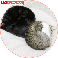 不本意な猫だんご_a0389088_18202375.jpg