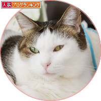 昼の枕_a0389088_18202535.jpg