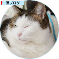 昼の枕_a0389088_18202592.jpg