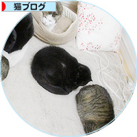 捨てられた私_a0389088_18203000.jpg