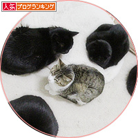 捨てられた私_a0389088_18203031.jpg