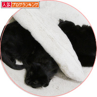 オリジナルこたつ(答え合わせアリ)_a0389088_18203032.jpg